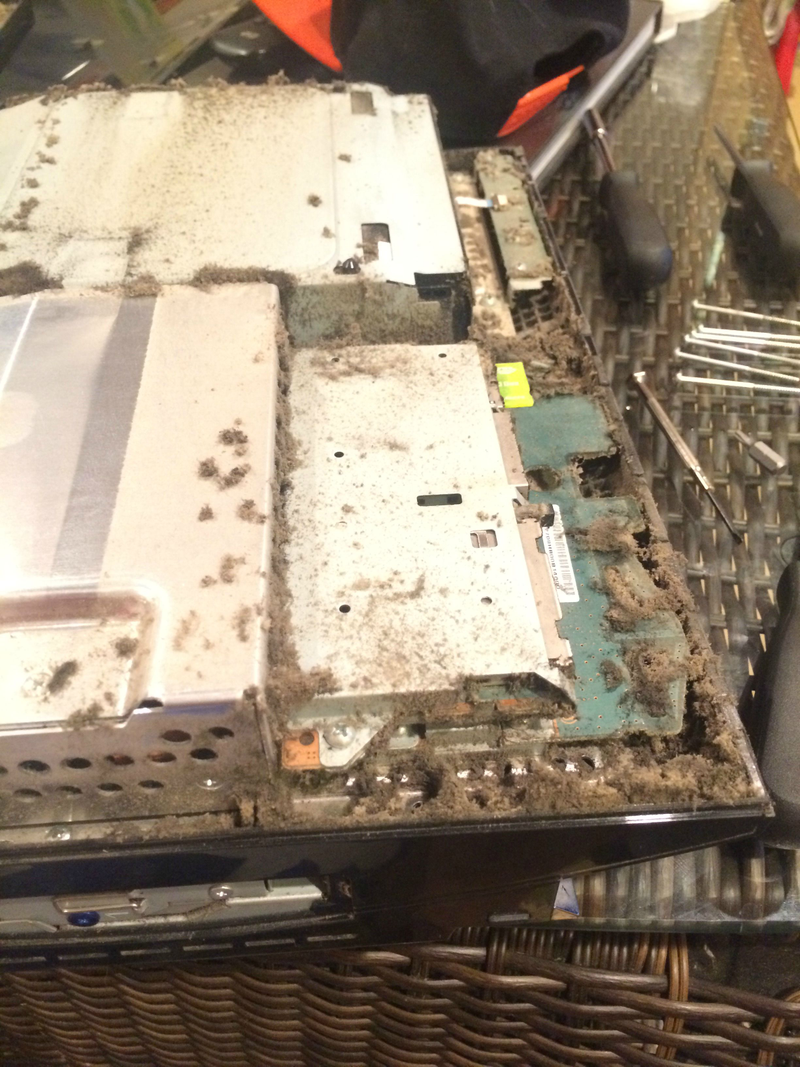 Illustration for article titled Reminder: The Inside Of Your PS3 Is (Probably) Disgusting